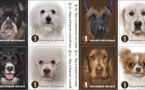 27 januari: Honden naderbij - Het postzegelboekje