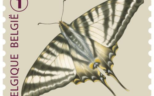 6 oktober: Vlinders van M.Meersman, Koningspage (Rolzegel)