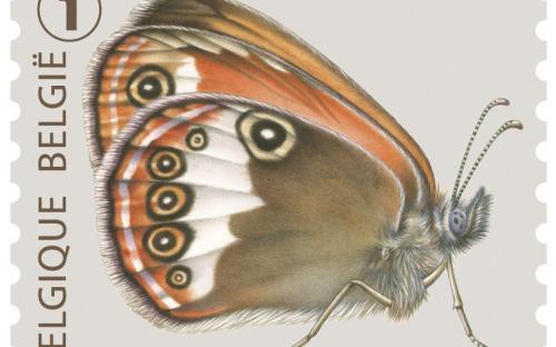 6 oktober: Vlinders van M.Meersman, Tweekleurig Hooibeestje (Rolzegel)