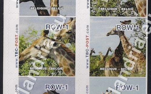 18 februari: ROW-1: Giraf (compleet vel)