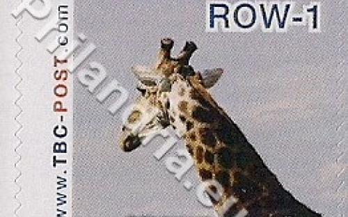18 februari: ROW-1: Giraf 1