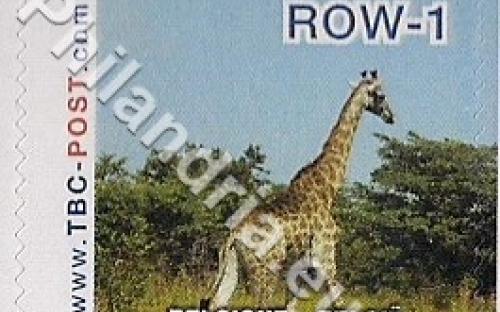18 februari: ROW-1: Giraf 10