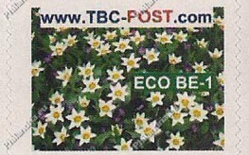 ECO BE-1 (€0.63) - Keukenhof, Tulipa Cretia