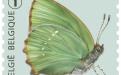6 oktober: Vlinders van M.Meersman, Groentje (Rolzegel)