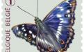 6 oktober: Vlinders van M.Meersman, Kleine Weerschijnvlinder (Rolzegel)