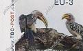 20 november: EU-3: Ethiopische geelsnaveltok (op tak)